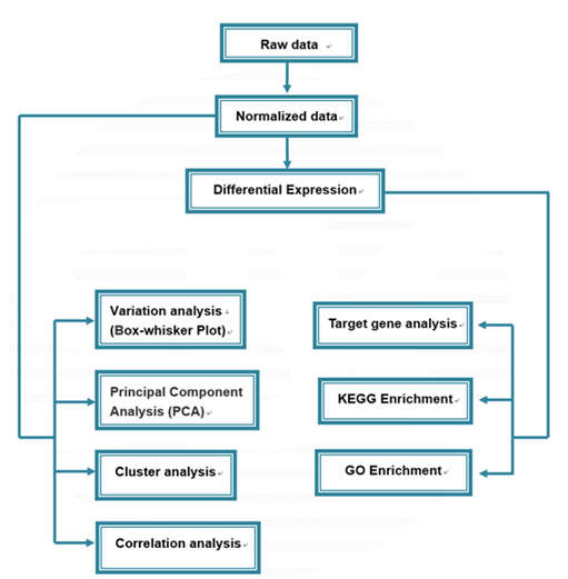 miRNA 芯片服务的分析流程