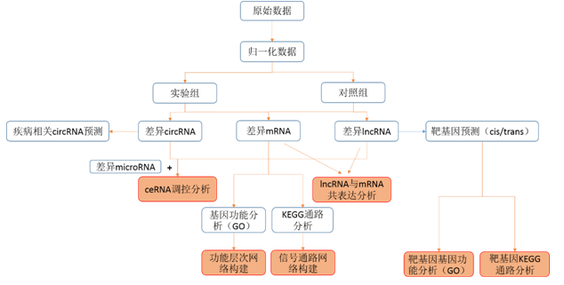 ceRNA 芯片分析流程