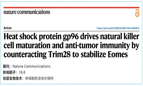 项目文章 | 热休克蛋白 gp96 通过对抗 Trim28 来稳定 Eomes，从而驱动自然杀伤细胞的成熟和抗肿瘤免疫