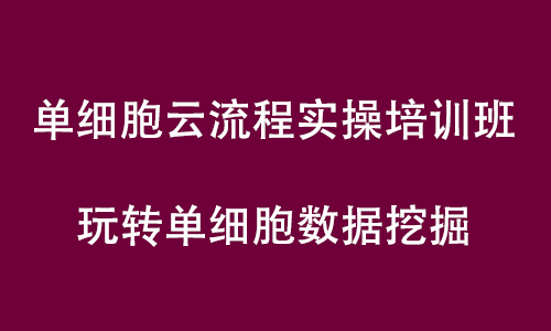 单细胞悟空 | 伯豪生物单细胞云流程实操培训直播预告