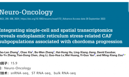 文献解读 | 整合单细胞和空间转录组学揭示与脊索瘤进展相关的内质网应激相关 CAF 亚群