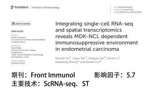 文献解读 | 整合 scRNA-seq 和 ST 揭示了子宫内膜癌中 MDK-NCL 依赖的免疫抑制环境