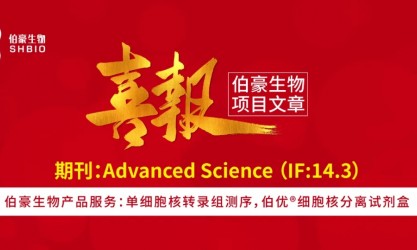 客户项目文章丨马秀梅 / 陈海燕 / 景莹 / 唐建明团队合作揭示细胞衰老和 EMT 调节局部晚期宫颈癌不同的疾病复发模式