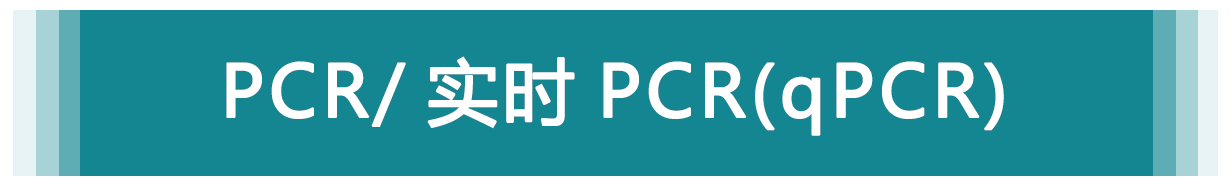PCR/ 实时 PCR（qPCR）