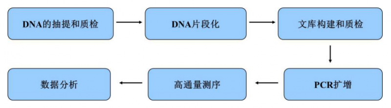 伯豪生物宏基因组测序实验流程图