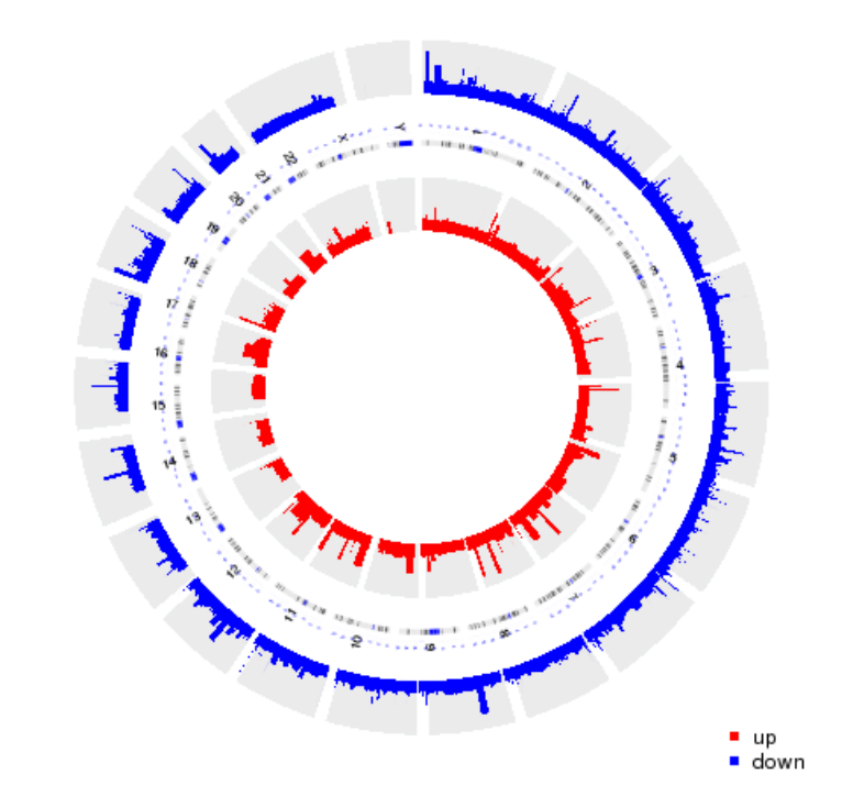 圈图展示差异甲基化位点在不同染色体上的分布