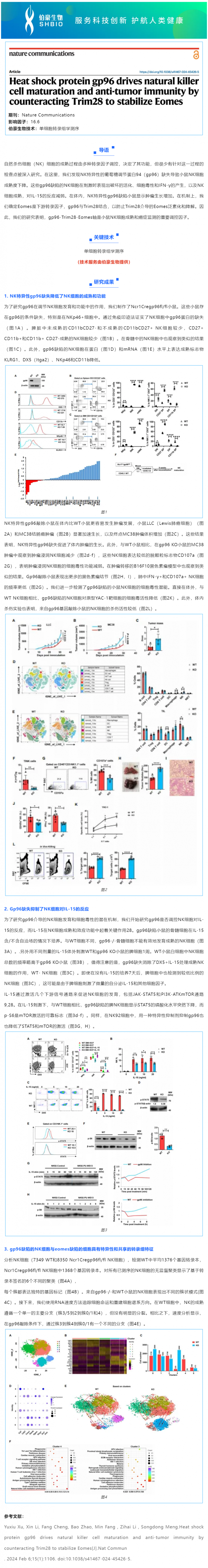 529 项目文章 _ 热休克蛋白 gp96 通过对抗 Trim28 来稳定 Eomes，从而驱动自然杀伤细胞的成熟和抗
