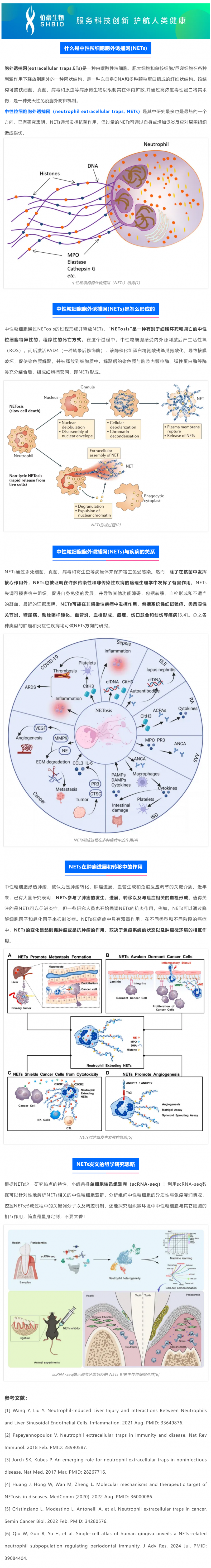 2025 国自然热点 _ 中性粒细胞胞外诱捕网（NETs) 该如何研究