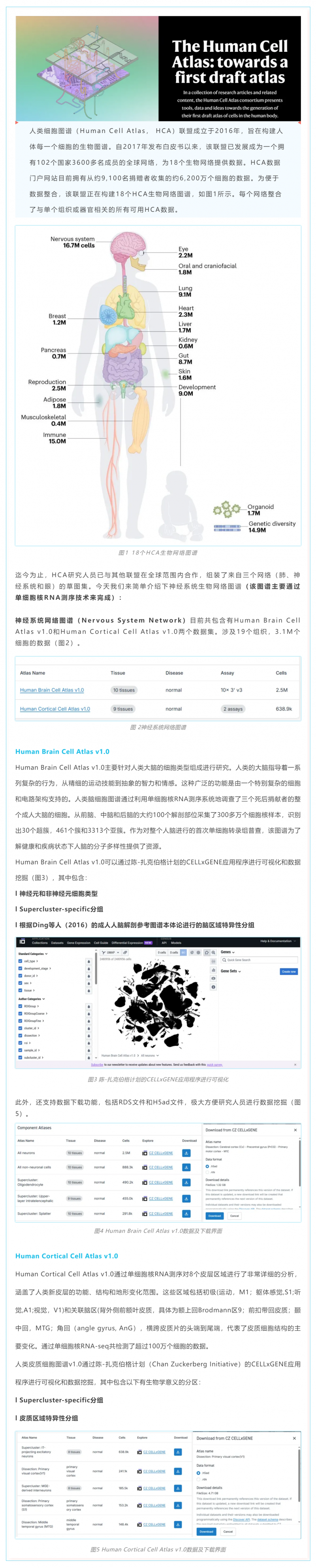 人类细胞图谱计划草图第一版完成——神经系统细胞图谱