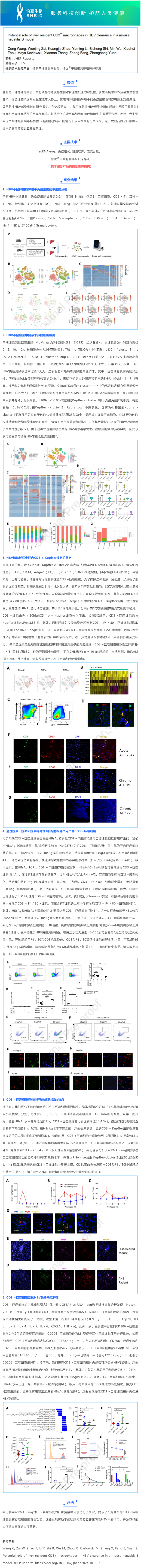 项目文章 _ 肝脏驻留的 CD3 + 巨噬细胞在小鼠乙型肝炎模型中 HBV 清除的潜在作用