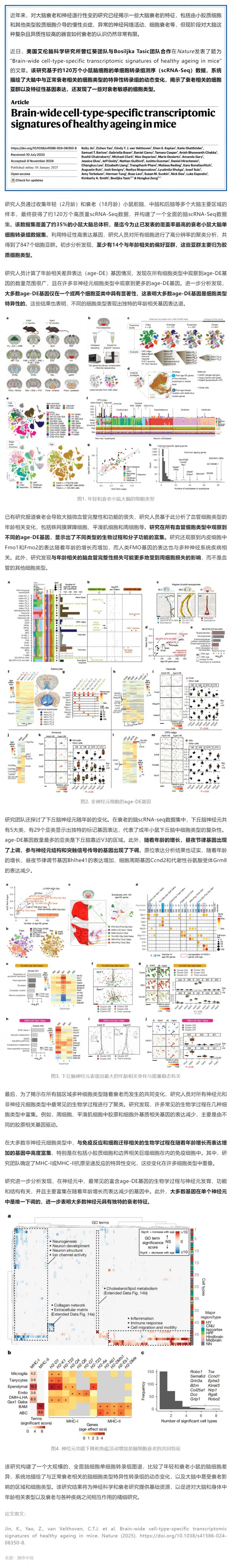 Nature _ 迄今覆盖率最高的衰老小鼠大脑单细胞转录组图谱，系统解析衰老相关细胞类型及特异性转录