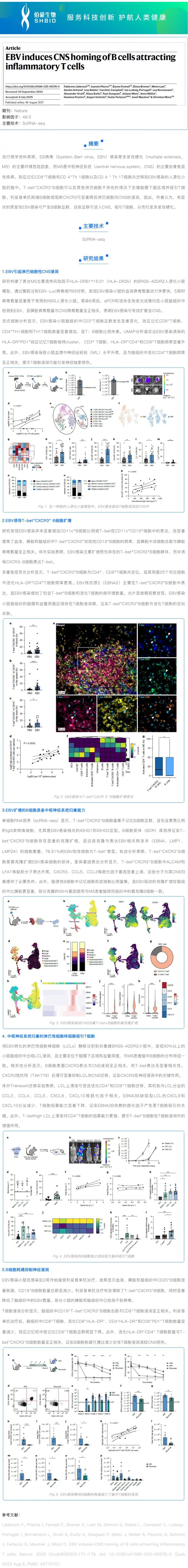 文献解读 _ EBV 诱导 B 细胞吸引炎性 T 细胞的 CNS 归巢