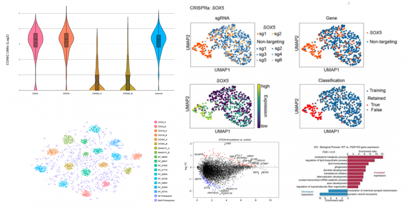 03fe9ecb-3640-499a-8897-1c953ef42915