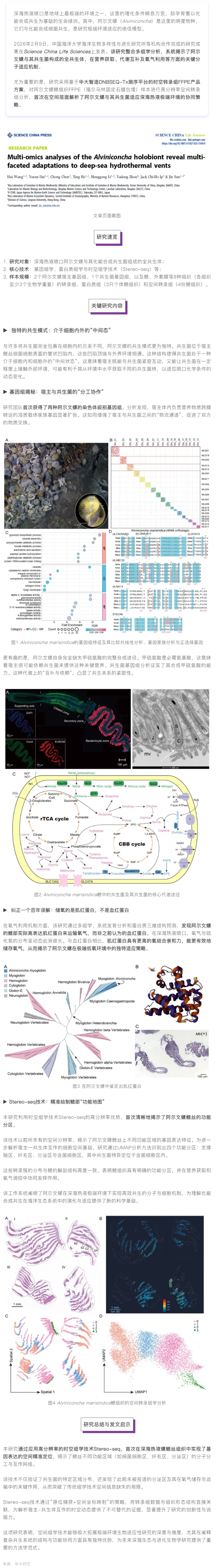 SCLS _ 深海生存奇迹！Stereo-seq 助力揭示阿尔文螺共生奥秘