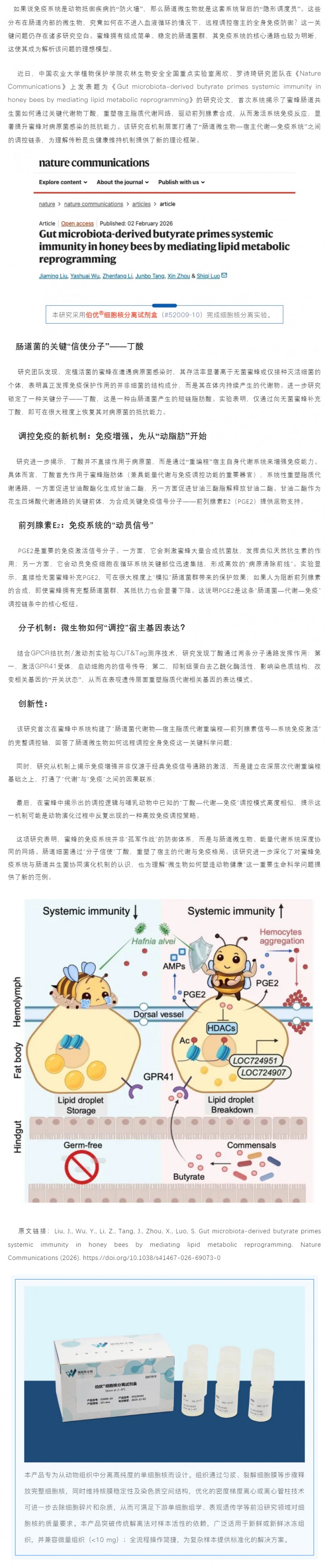 试剂盒应用文章 _ 中国农业大学团队揭示肠道菌通过代谢重编程调控蜜蜂免疫的新机制