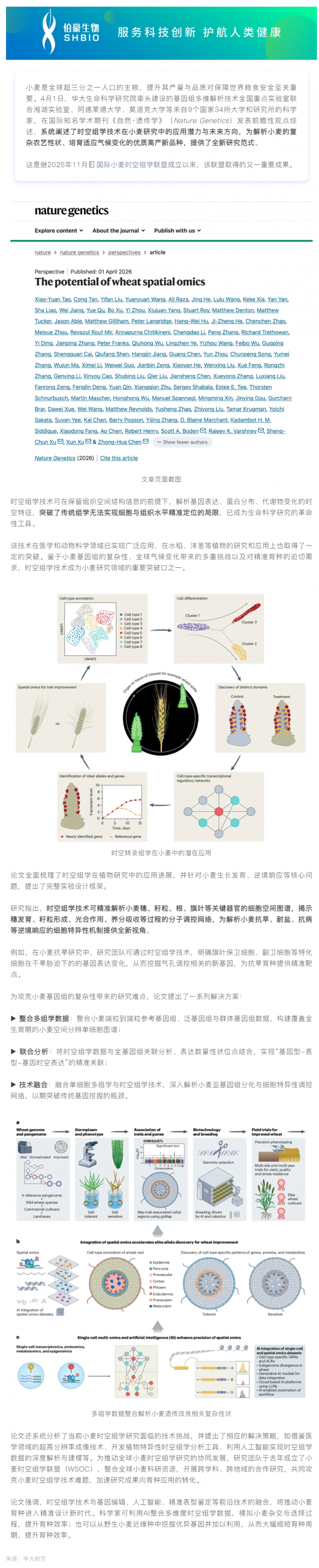 Nature Genetics _ 时空组学技术如何为小麦精准育种开辟新方向？