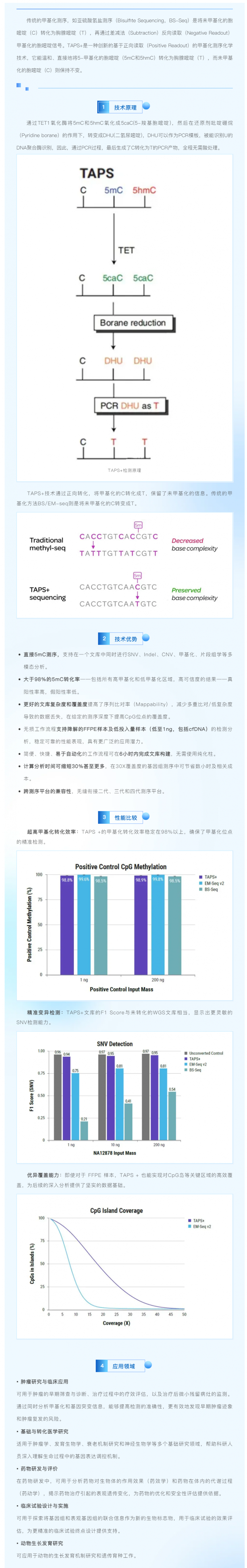 新品速递 _ TAPS+ 测序：一个文库，解锁甲基化与基因变异双重组学信息