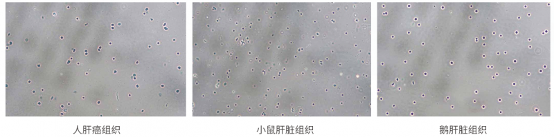 图片9