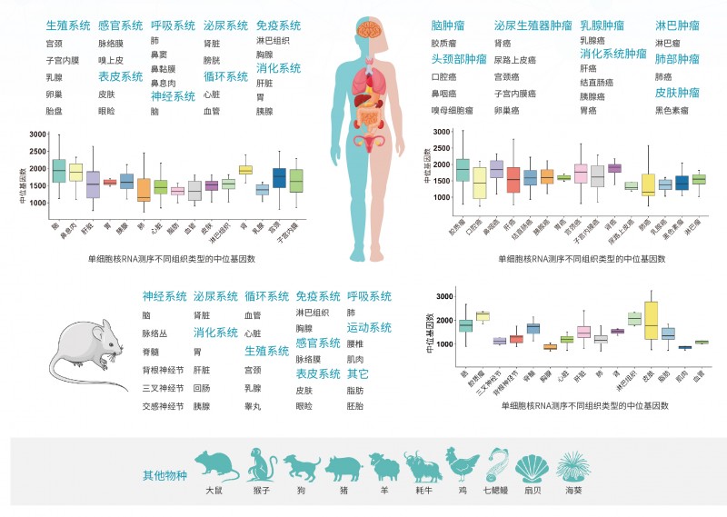 伯优®细胞核分离试剂盒单页-02