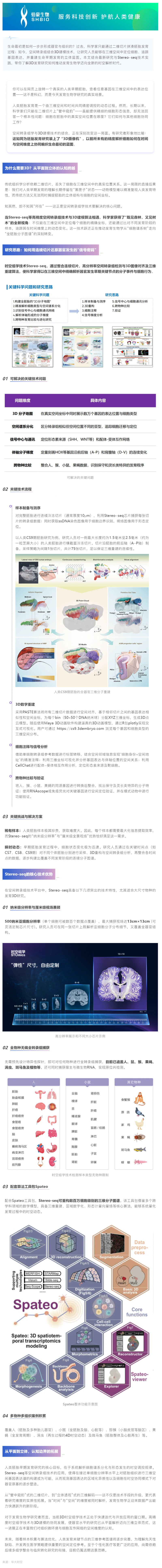 我们终于能“看见”人类胚胎如何发育：3D 空间转录组重塑生命早期研究